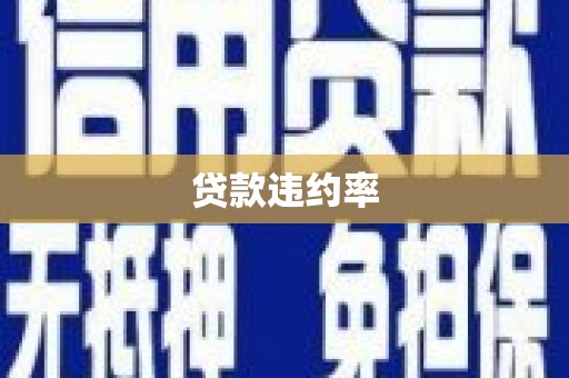 乐都贷款违约率