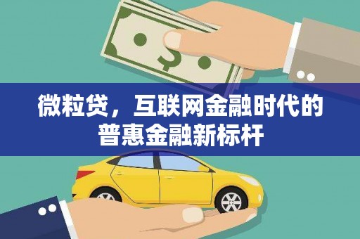 乐都微粒贷，互联网金融时代的普惠金融新标杆