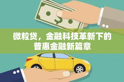 乐都微粒贷，金融科技革新下的普惠金融新篇章