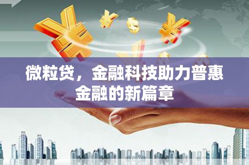 乐都微粒贷，金融科技助力普惠金融的新篇章