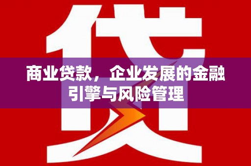 乐都商业贷款，企业发展的金融引擎与风险管理
