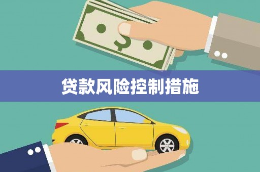 乐都贷款风险控制措施