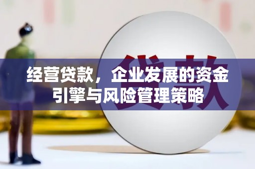 乐都经营贷款，企业发展的资金引擎与风险管理策略
