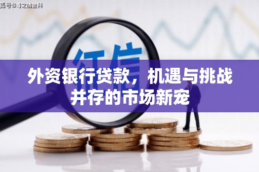 乐都外资银行贷款，机遇与挑战并存的市场新宠
