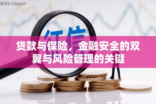 乐都贷款与保险，金融安全的双翼与风险管理的关键