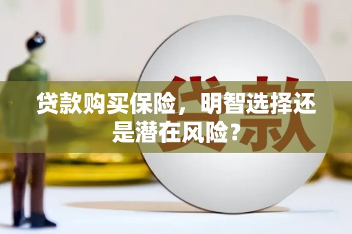 乐都贷款购买保险，明智选择还是潜在风险？