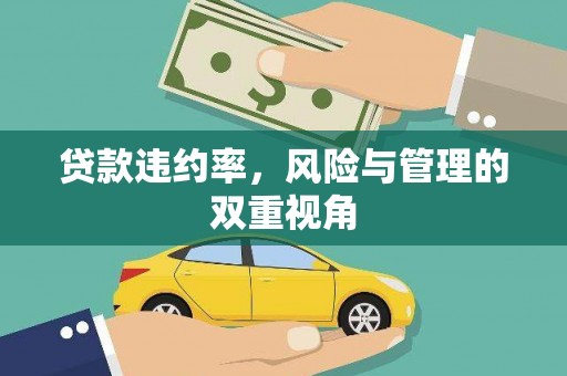 乐都贷款违约率，风险与管理的双重视角