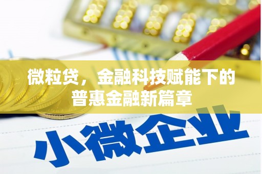 乐都微粒贷，金融科技赋能下的普惠金融新篇章