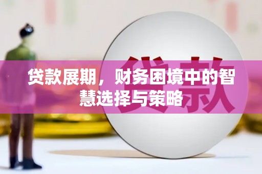乐都贷款展期，财务困境中的智慧选择与策略