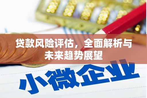 乐都贷款风险评估，全面解析与未来趋势展望