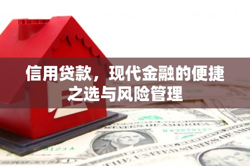 乐都信用贷款，现代金融的便捷之选与风险管理