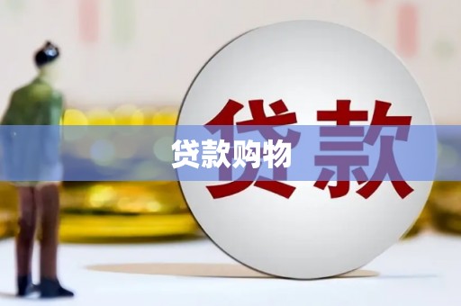 乐都贷款购物