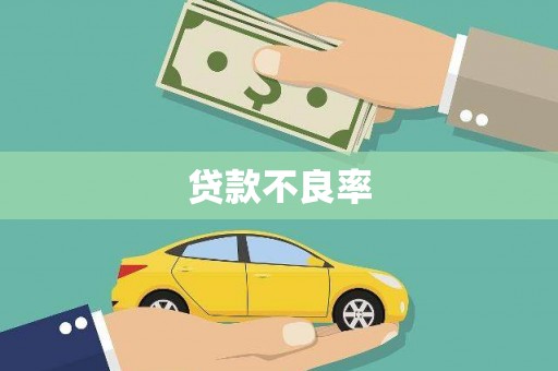 乐都贷款不良率