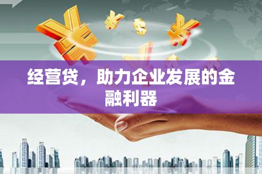 乐都经营贷，助力企业发展的金融利器