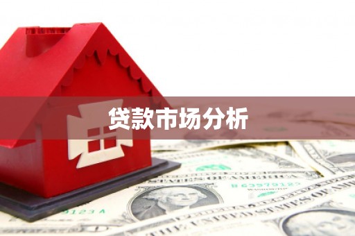 乐都贷款市场分析
