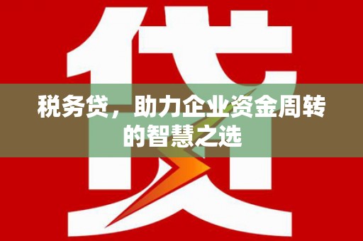 乐都税务贷，助力企业资金周转的智慧之选