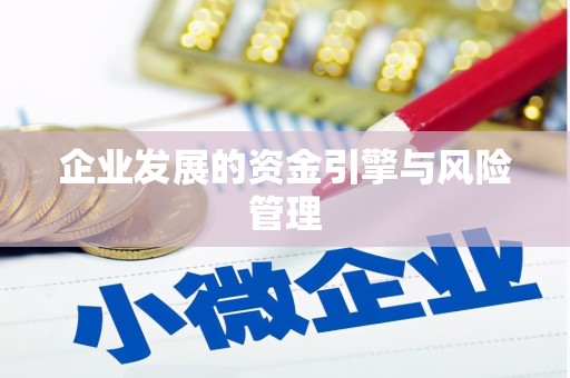 乐都企业发展的资金引擎与风险管理