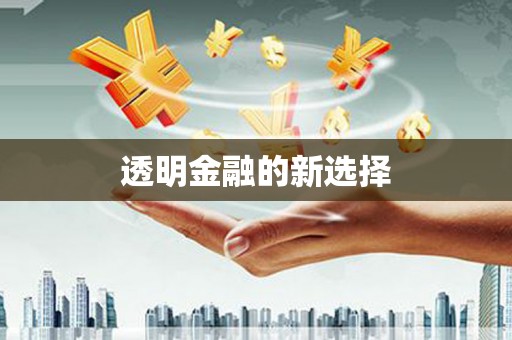 乐都透明金融的新选择