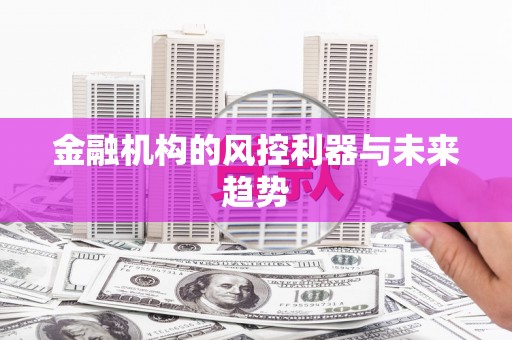 乐都金融机构的风控利器与未来趋势