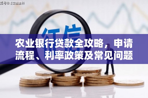 乐都农业银行贷款全攻略，申请流程、利率政策及常见问题解析