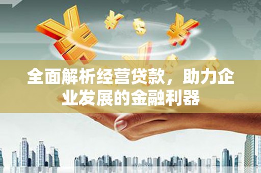 乐都全面解析经营贷款，助力企业发展的金融利器