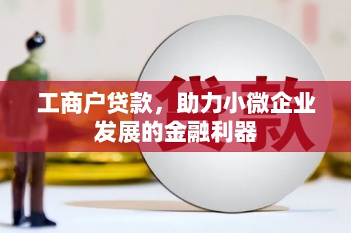 乐都工商户贷款，助力小微企业发展的金融利器
