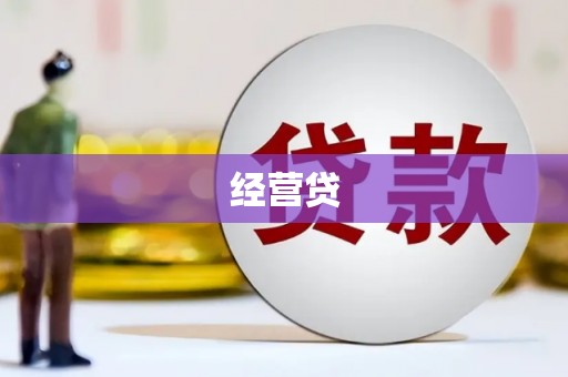 乐都经营贷