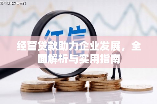 乐都经营贷款助力企业发展，全面解析与实用指南
