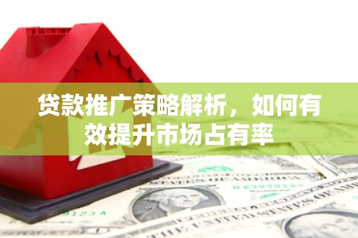 乐都贷款推广策略解析，如何有效提升市场占有率