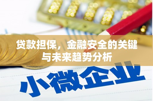 乐都贷款担保，金融安全的关键与未来趋势分析