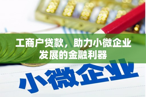 乐都工商户贷款，助力小微企业发展的金融利器
