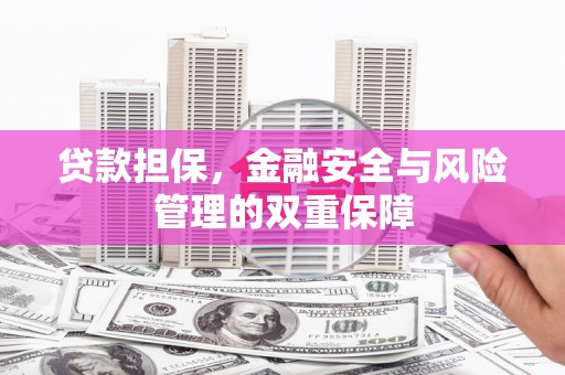 乐都贷款担保，金融安全与风险管理的双重保障
