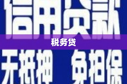乐都税务贷