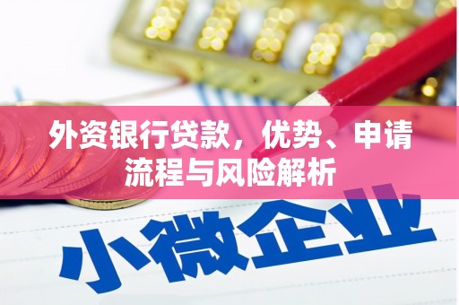 乐都外资银行贷款，优势、申请流程与风险解析