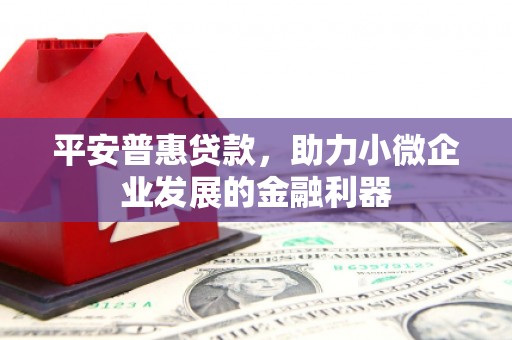 乐都平安普惠贷款，助力小微企业发展的金融利器