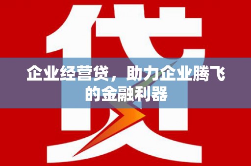 乐都企业经营贷，助力企业腾飞的金融利器