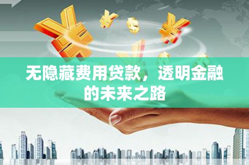 乐都无隐藏费用贷款，透明金融的未来之路