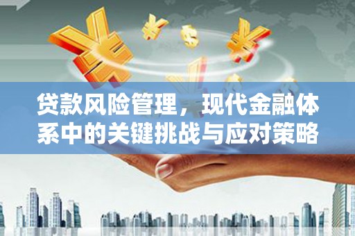乐都贷款风险管理，现代金融体系中的关键挑战与应对策略