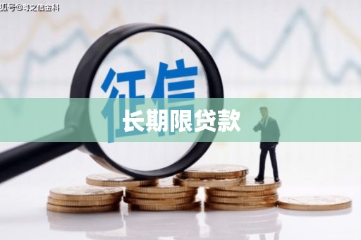 乐都长期限贷款