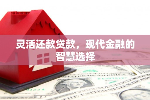 乐都灵活还款贷款，现代金融的智慧选择