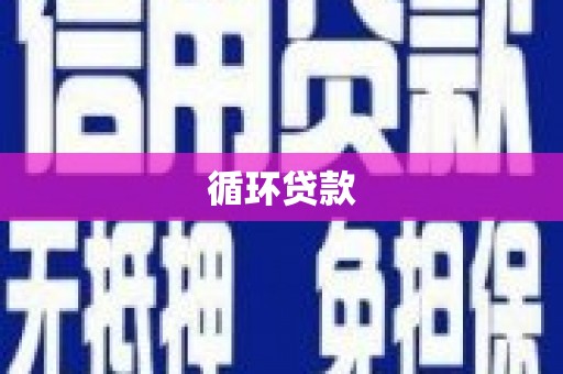 乐都循环贷款
