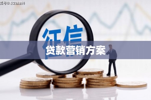 乐都贷款营销方案