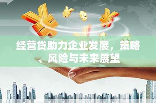 乐都经营贷助力企业发展，策略、风险与未来展望