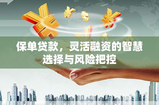 乐都保单贷款，灵活融资的智慧选择与风险把控