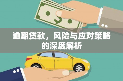 乐都逾期贷款，风险与应对策略的深度解析
