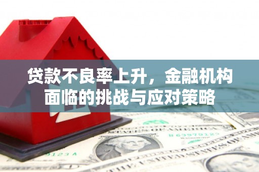 乐都贷款不良率上升，金融机构面临的挑战与应对策略
