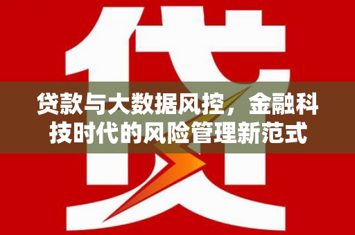 乐都贷款与大数据风控，金融科技时代的风险管理新范式