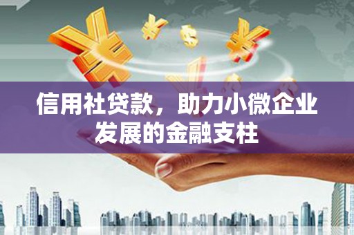 乐都信用社贷款，助力小微企业发展的金融支柱