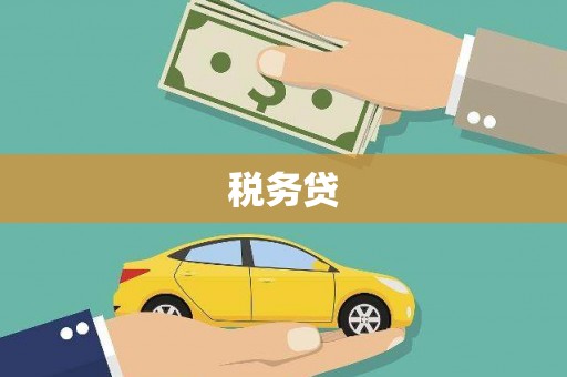 乐都税务贷