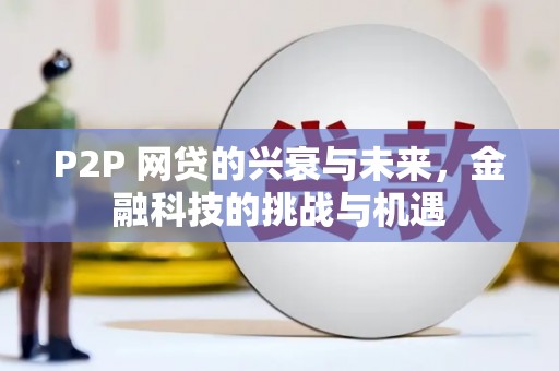 乐都P2P 网贷的兴衰与未来，金融科技的挑战与机遇